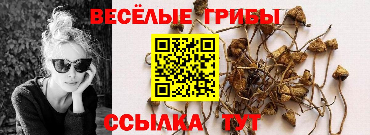Галлюциногенные грибы Magic Shrooms Грозный