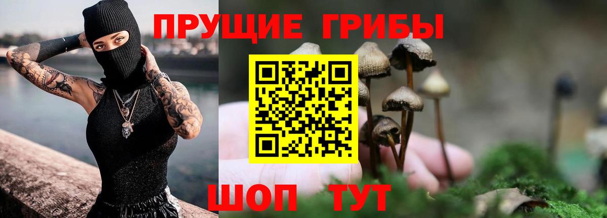Галлюциногенные грибы Cubensis  Вход с VPN  Галлюциногенные грибы MAGIC MUSHROOMS  Грозный 